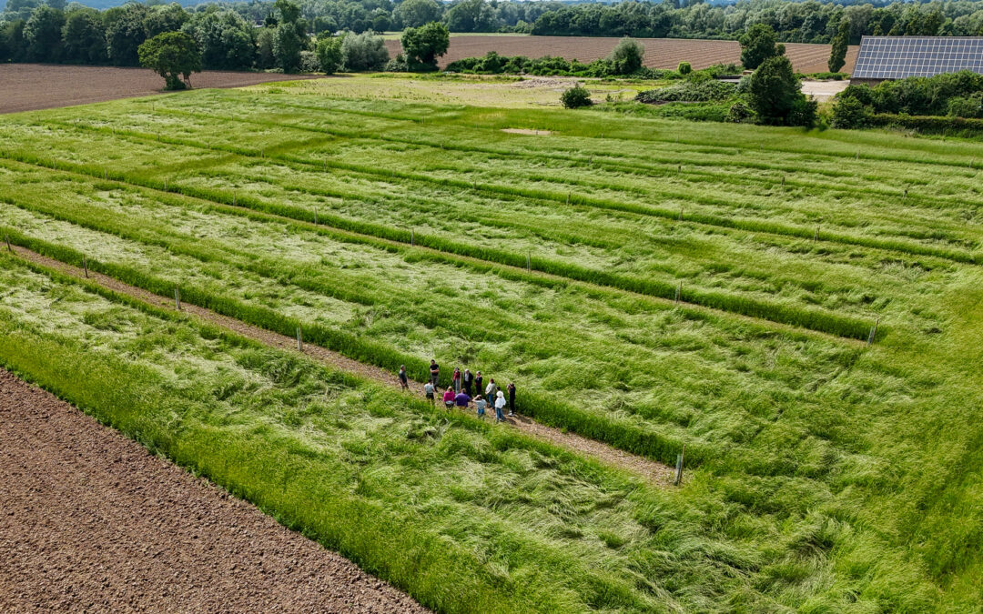 NACHHALTIGE LANDWIRTSCHAFT DER ZUKUNFT ERLEBEN