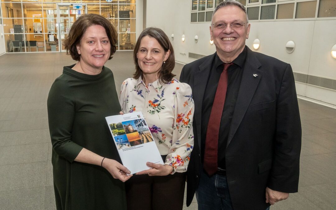 Entwicklung der Immobilienpreise zeigt gemischte Trends