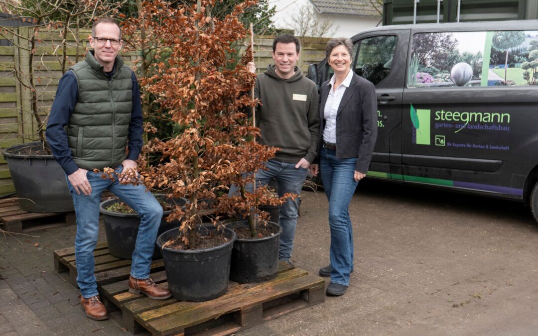 Steegmann GaLaBau steigert Effizienz mit KI